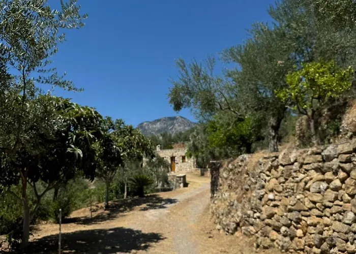 Kalamata Natural Stone Seaview Sanctuary Megali Mantineia